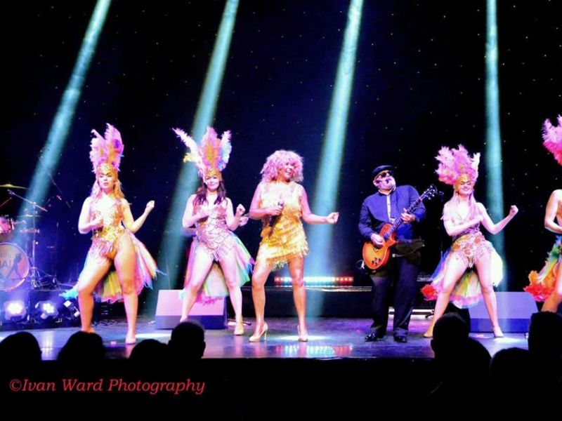 tina turner tribute